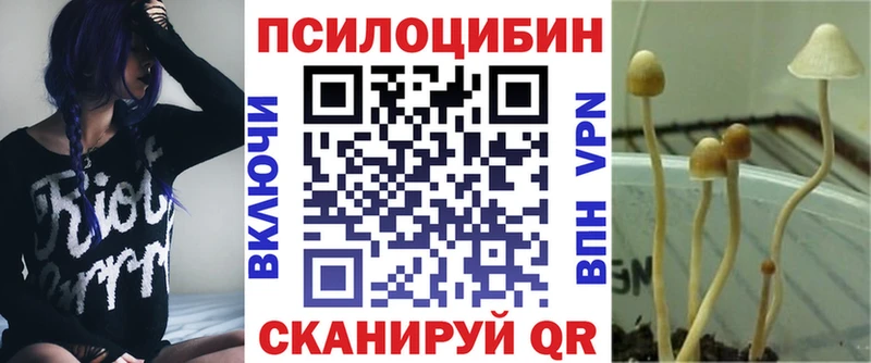 Галлюциногенные грибы MAGIC MUSHROOMS  нарко площадка клад  Богданович  kraken как войти 